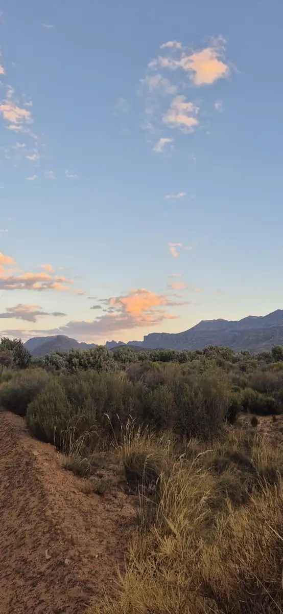 Cederberg veld in the evening with pink cloud