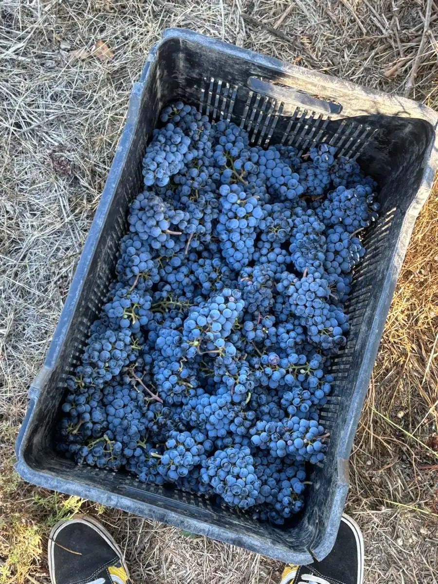 A crate filled and left standing in the row.