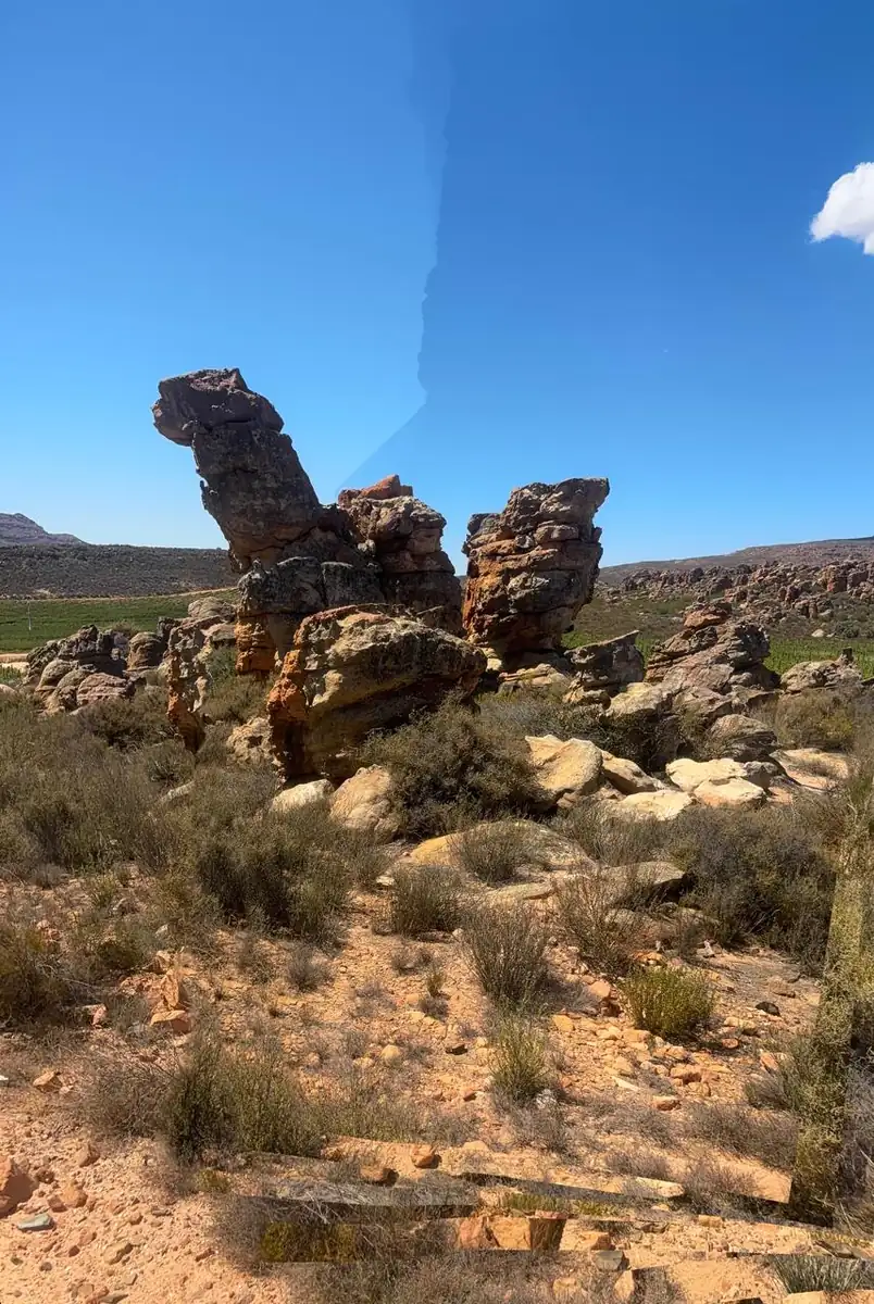 Sandstone stacked into pillars, with vineyard behind.