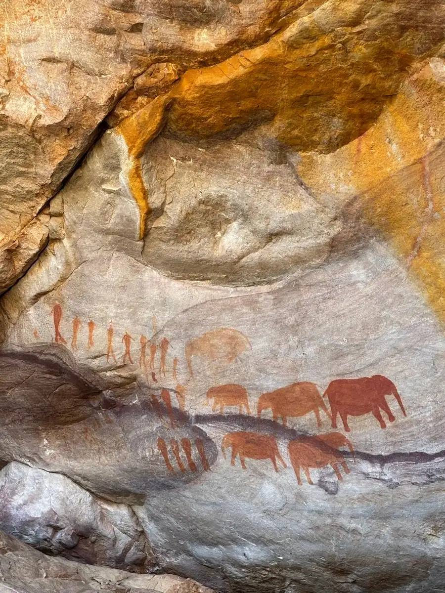 Rock art panel showing a herd of elephants in red ochre with human figures beside them